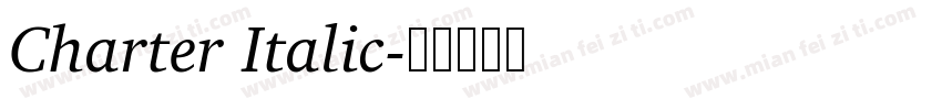 Charter Italic字体转换